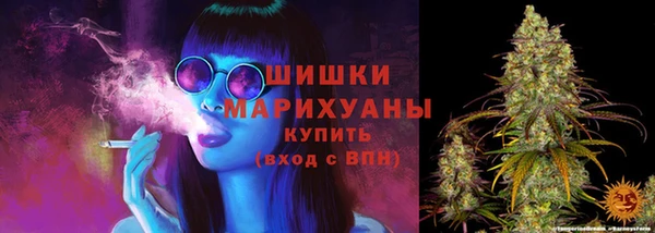 винт Нягань